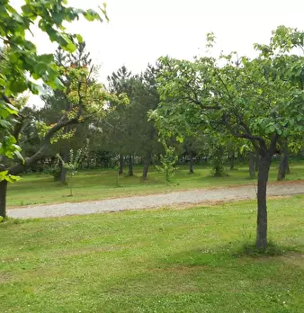 Foto annuncio 92