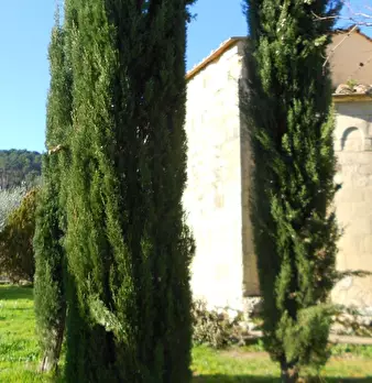 Foto annuncio 9