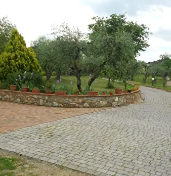 Foto annuncio 17