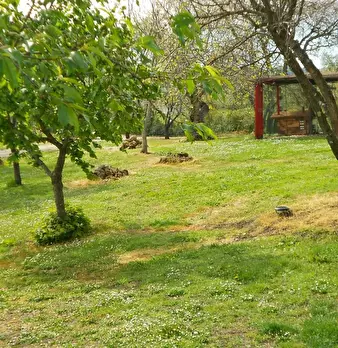 Foto annuncio 69