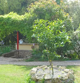 Foto annuncio 70