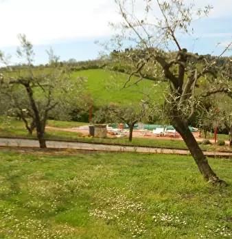 Foto annuncio 57