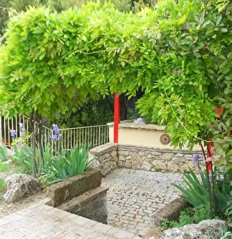 Foto annuncio 45