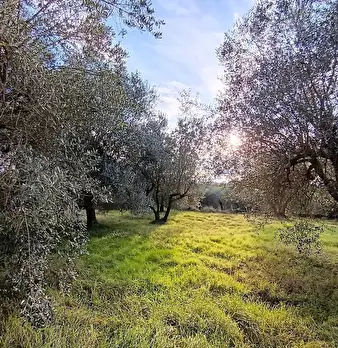 Foto annuncio 24