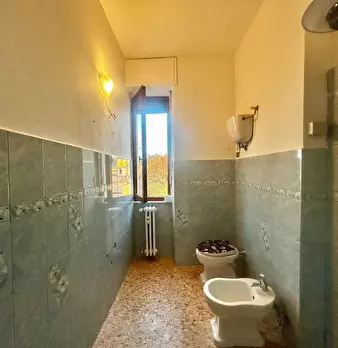 Foto annuncio 6