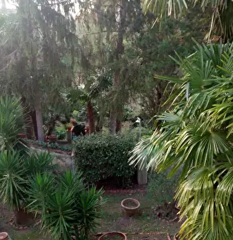 Foto annuncio 22