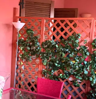 Foto annuncio 6