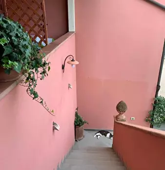 Foto annuncio 27