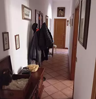 Foto annuncio 15