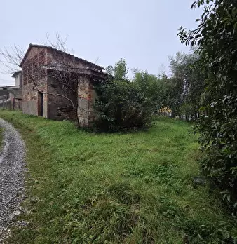 Foto annuncio 12