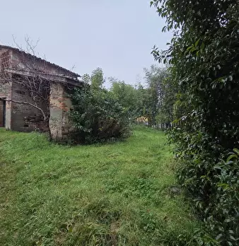 Foto annuncio 13