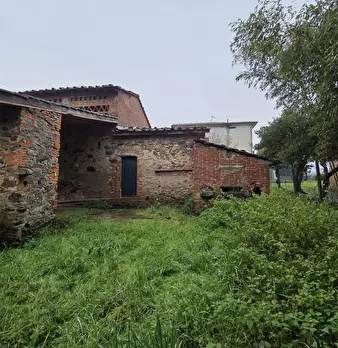 Foto annuncio 8