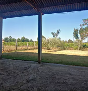 Foto annuncio 29