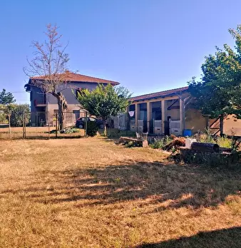 Foto annuncio 27