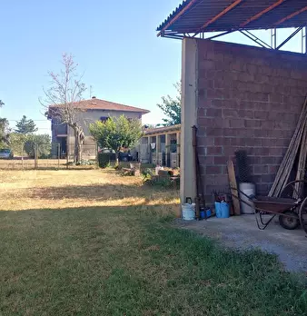 Foto annuncio 28