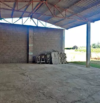 Foto annuncio 30