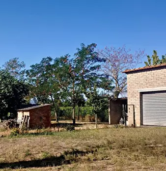 Foto annuncio 32
