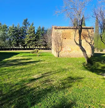 Foto annuncio 40
