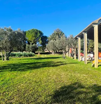 Foto annuncio 57