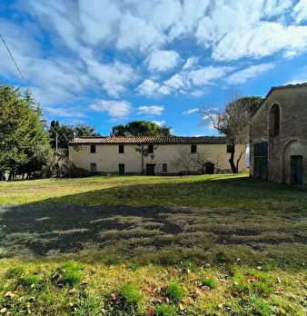 Foto annuncio 5
