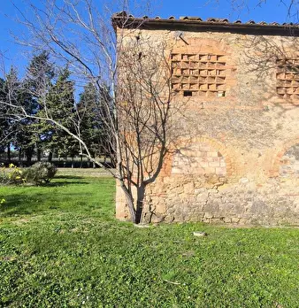 Foto annuncio 38