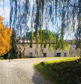 Foto annuncio 2