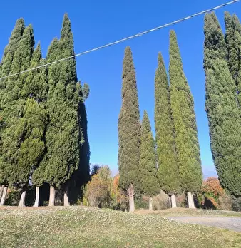 Foto annuncio 70