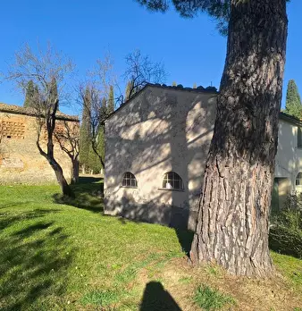 Foto annuncio 43