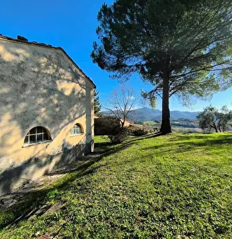 Foto annuncio 24