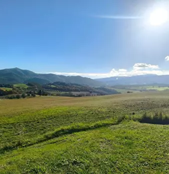 Foto annuncio 54