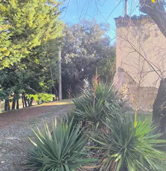 Foto annuncio 11