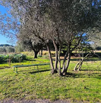 Foto annuncio 61
