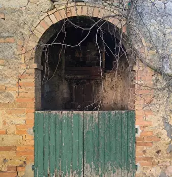 Foto annuncio 47