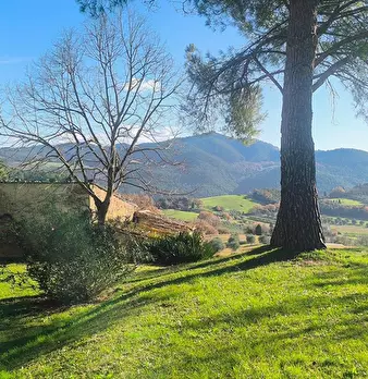 Foto annuncio 23