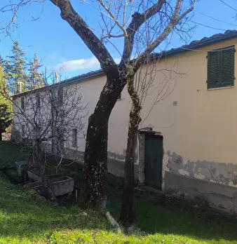 Foto annuncio 27