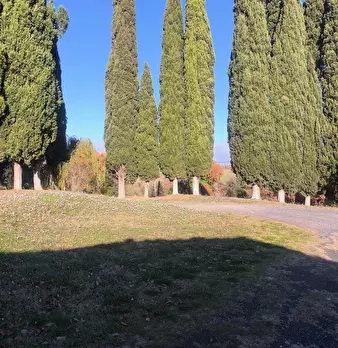 Foto annuncio 66