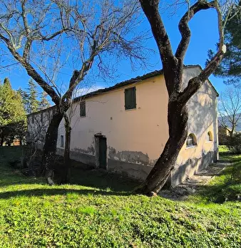 Foto annuncio 25