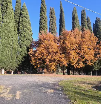 Foto annuncio 69