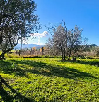 Foto annuncio 59