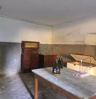 Foto annuncio 31