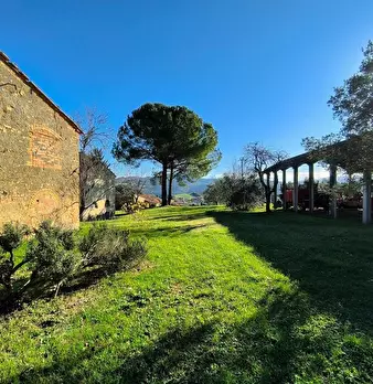 Foto annuncio 64