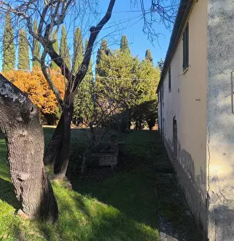 Foto annuncio 39