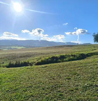 Foto annuncio 53