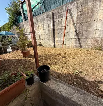 Foto annuncio 37