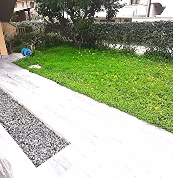Foto annuncio 4