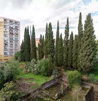 Foto annuncio 24