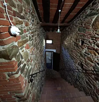 Foto annuncio 41