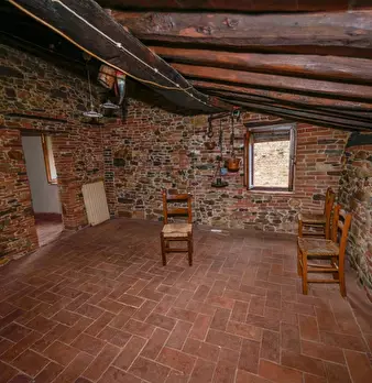 Foto annuncio 61