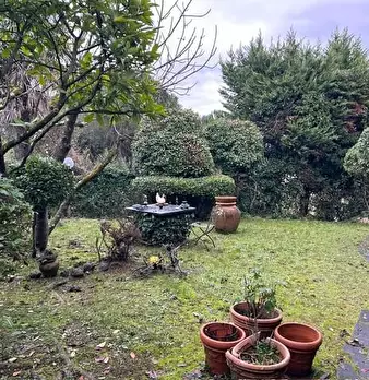 Foto annuncio 7