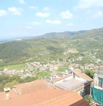 Foto annuncio 11